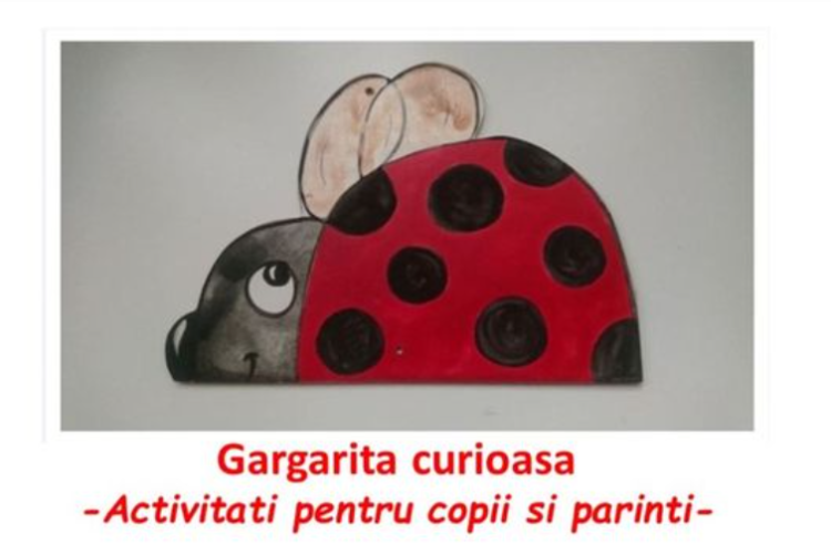 Gargarita Curioasa